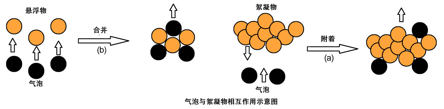 氣泡與絮凝物相互作用示意圖